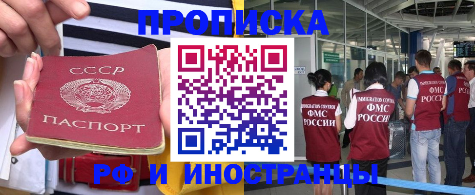 прописка 2025 в Кольчугино