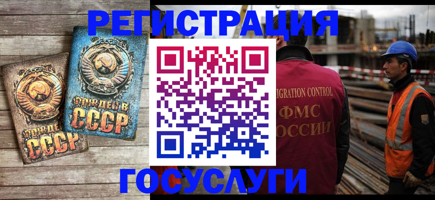 где прописаться в Кольчугино